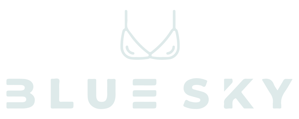 blue sky fashions, blue sky lingerie, digital workhorse project, website focus